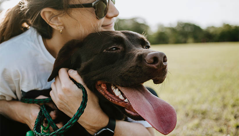 Girl and a dog