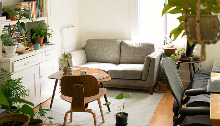 A pretty apartment with lighting, plants hanging and a gray couch