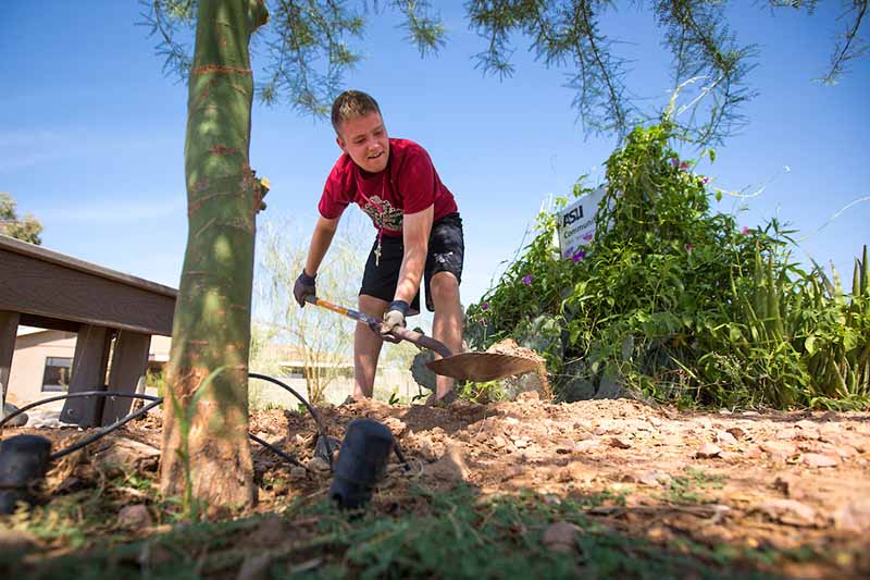 ASU student participating in a volunteer project for a day of service